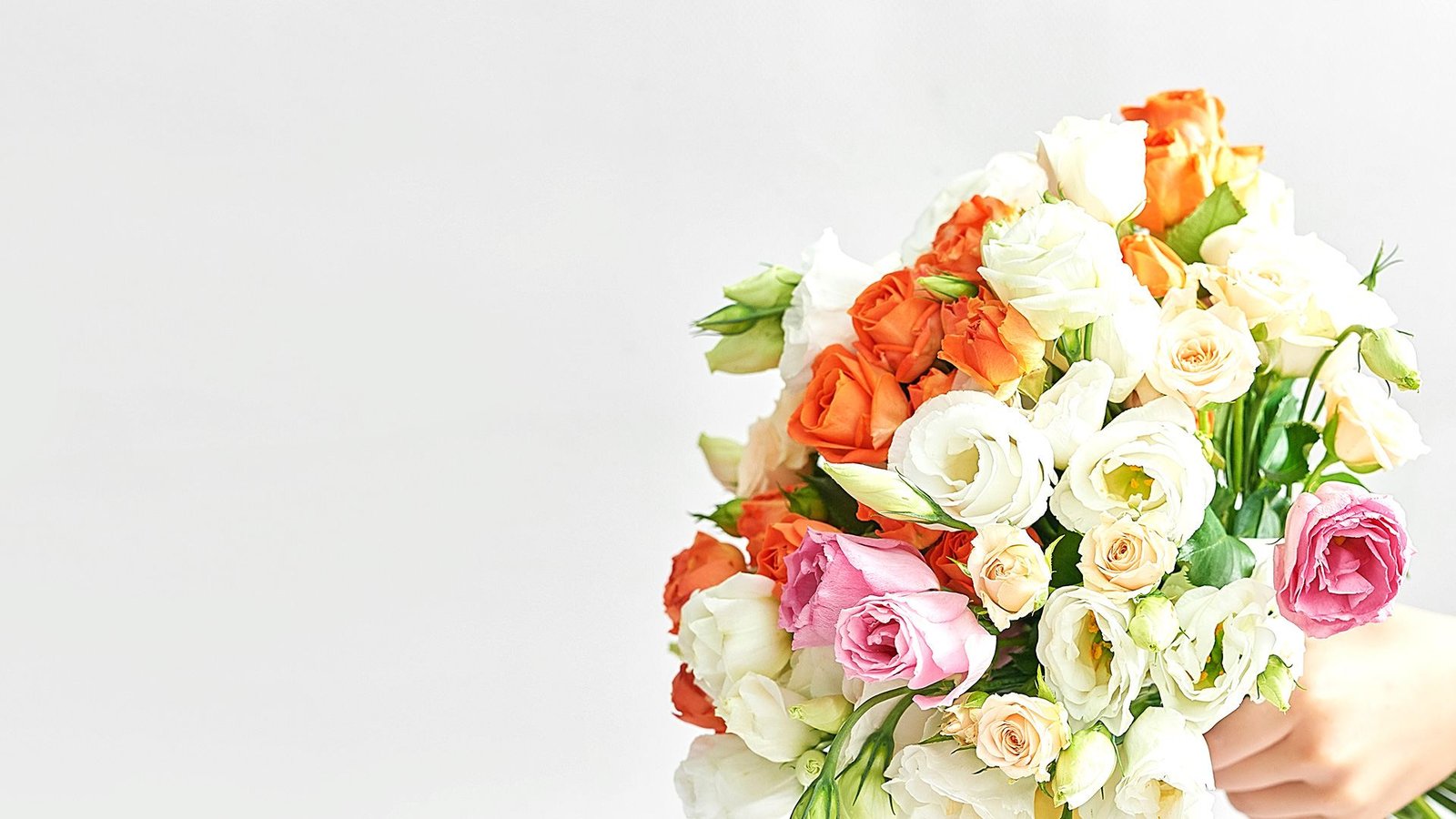 Banner attēls